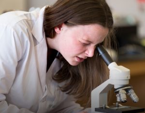 Student studying sample through microscope